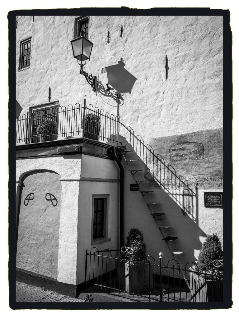 The cat stairs by the bakery