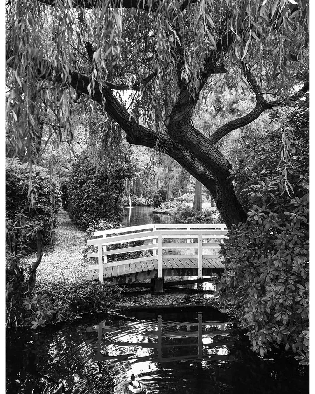 Peaceful little white bridge