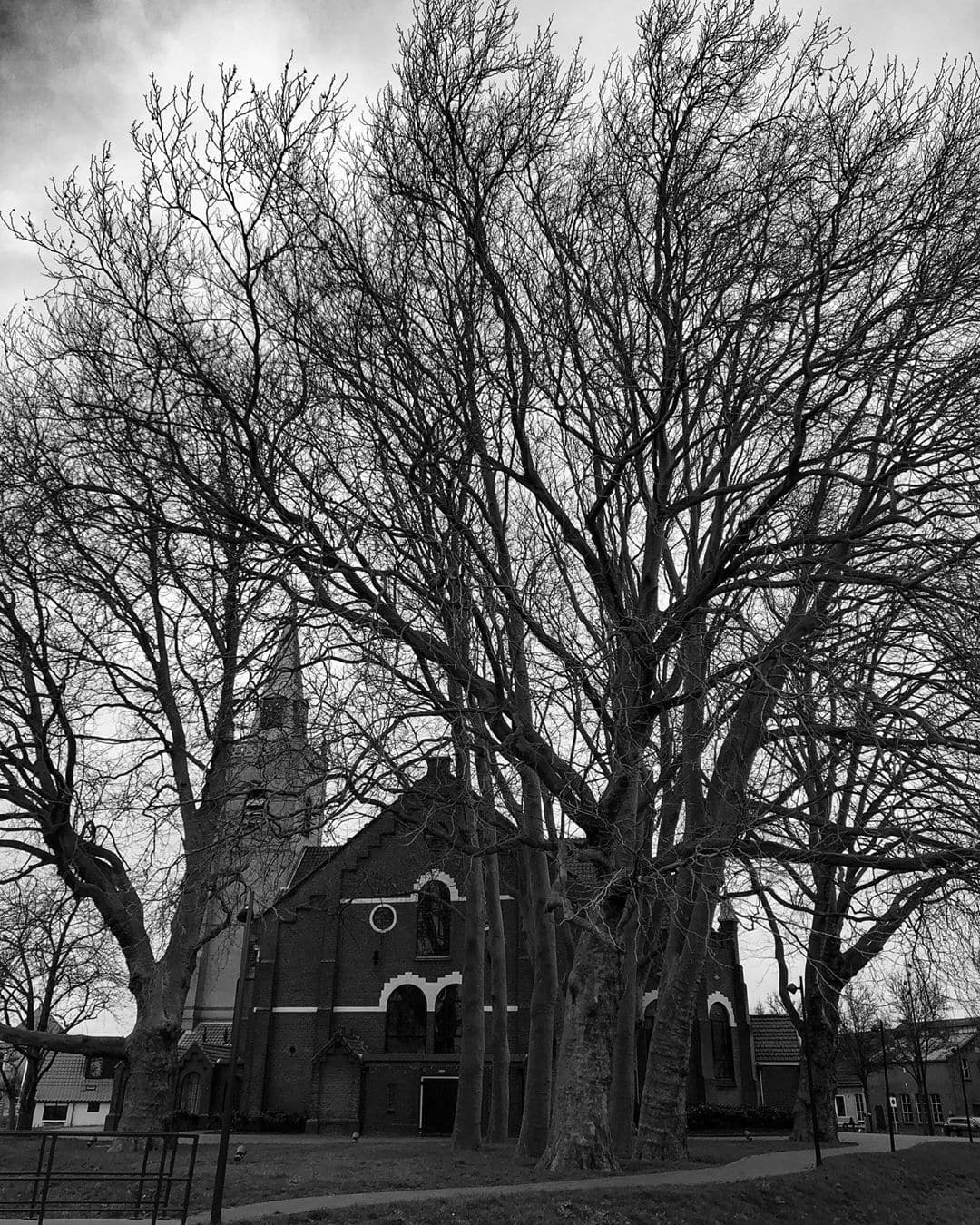 Church in a tree